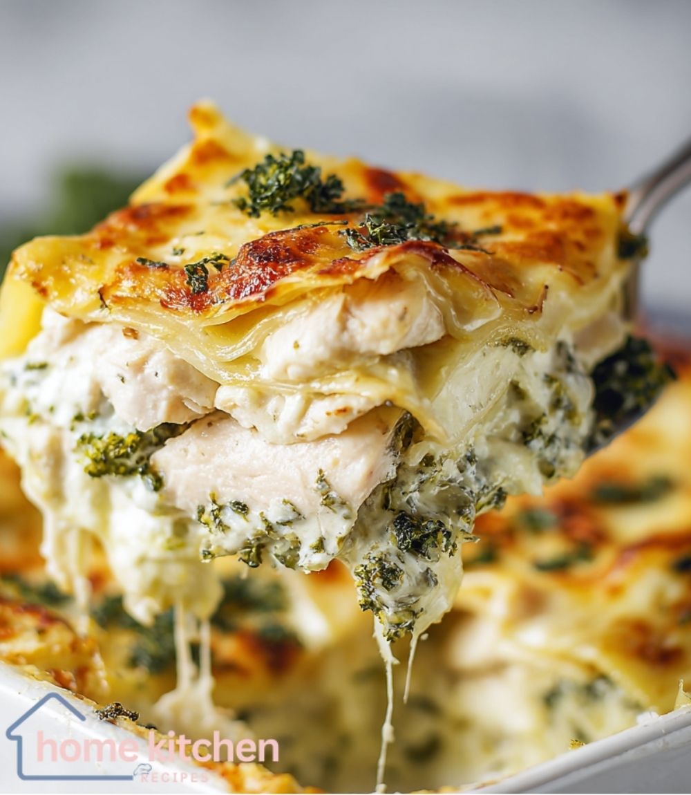 Creamy Chicken Lasagna